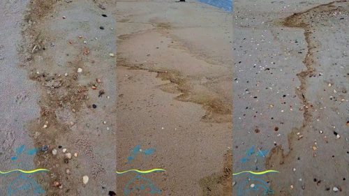 За полгода после удара рф масло снова вынесло на берег одесского нацпарка