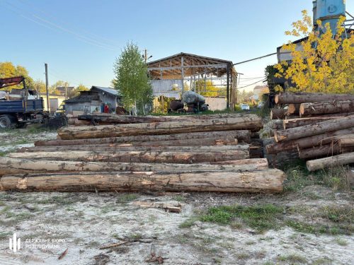 Digest of environmental crimes: widespread corruption among forestry officials and environmental pollution