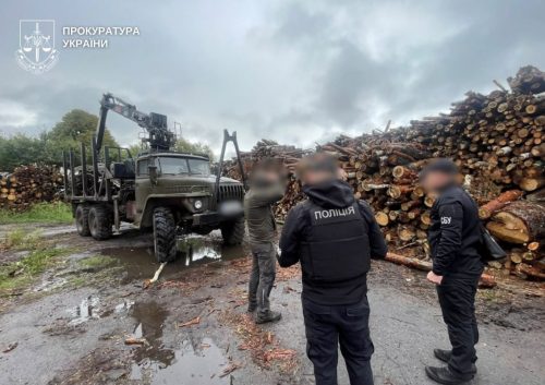 Дайджест екозлочинів тижня: "сміттєва" спецоперація Нацполу, ліси, надра та браконьєри