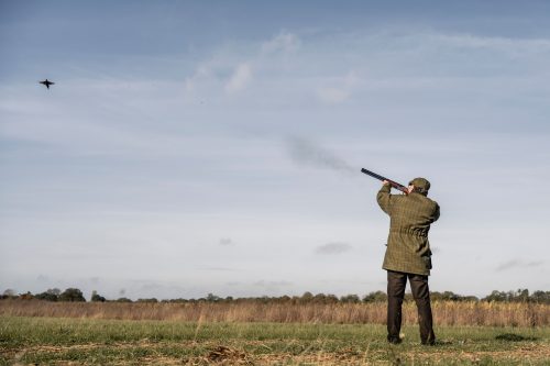 Hunting allowed again in several Ukrainian oblasts: how Ukrainians are reacting